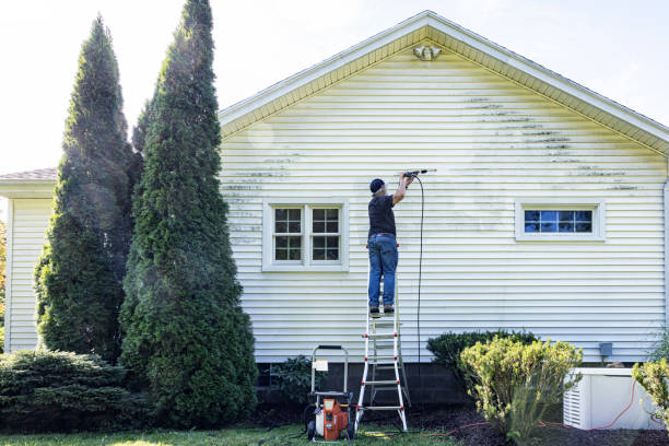 Best Gutter Cleaning and Brightening in Calverton, NY